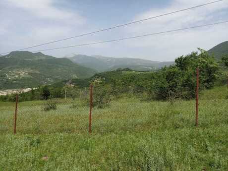 Torpaq - Şamaxı - 12 sot