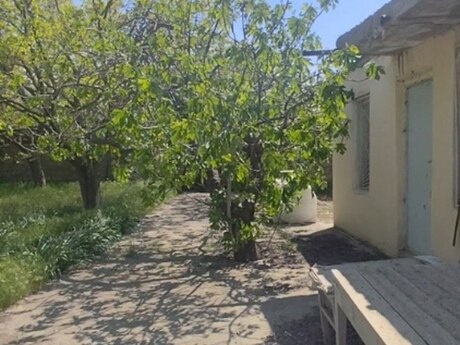 3 otaqlı həyət evi/bağ evi - Novxanı q. - 60 m²
