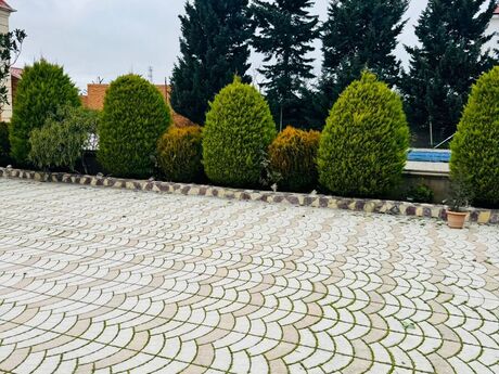 7 otaqlı həyət evi/bağ evi - Buzovna q. - 500 m²