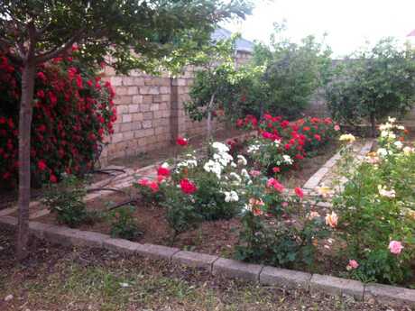 7 otaqlı həyət evi/bağ evi - Mehdiabad q. - 320 m²