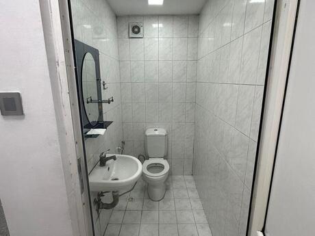 Obyekt - Sahil m. - 175 m²