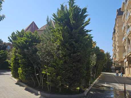 Объявление №6109631 - Баку, Сабаильский р., 3-комн., 125 м², 3/5 этаж