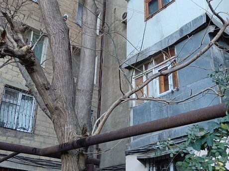 1-комн. вторичка - м. Элмляр Академиясы - 34 м²