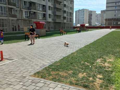 2 otaqlı yeni tikili - 20 Yanvar m. - 55 m²