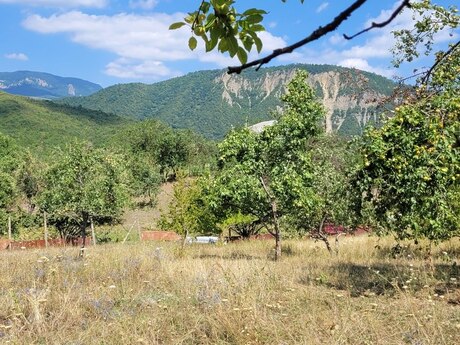 Torpaq - İsmayıllı - 27 sot