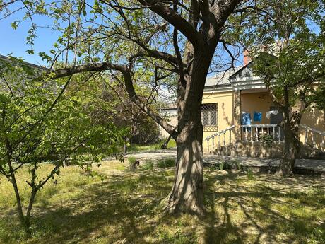 Torpaq - Qara Qarayev m. - 30 sot