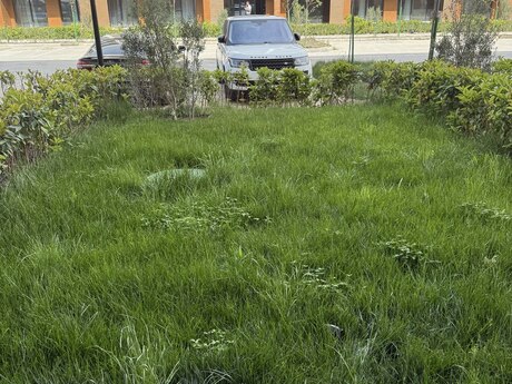 1 otaqlı yeni tikili - Nardaran q. - 57 m²