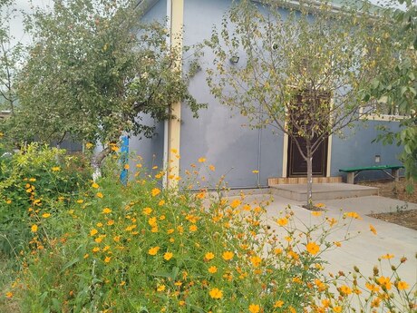 4 otaqlı həyət evi/bağ evi - İsmayıllı - 100 m²