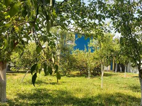 3 otaqlı həyət evi/bağ evi - İsmayıllı - 100 m²