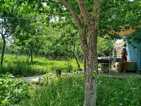 3 otaqlı həyət evi/bağ evi - İsmayıllı - 100 m²
