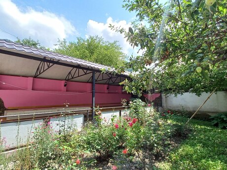 4 otaqlı həyət evi/bağ evi - Qax - 100 m²