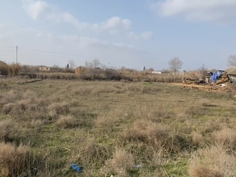 Torpaq - İmişli - 12 sot