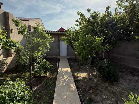 4 otaqlı həyət evi/bağ evi - Mərdəkan q. - 180 m²