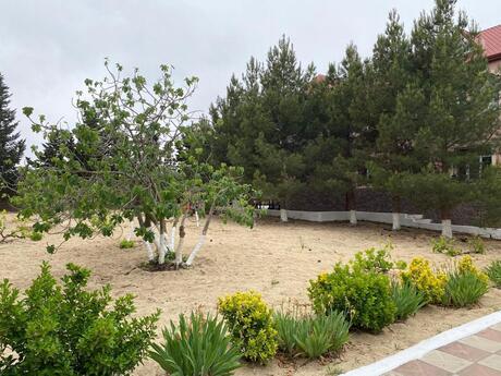 6 otaqlı həyət evi/bağ evi - Novxanı q. - 340 m²