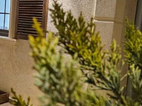 4 otaqlı həyət evi/bağ evi - Nardaran q. - 155 m²