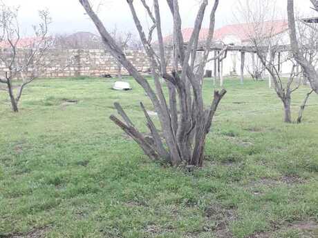 Torpaq - Pirşağı q. - 6 sot
