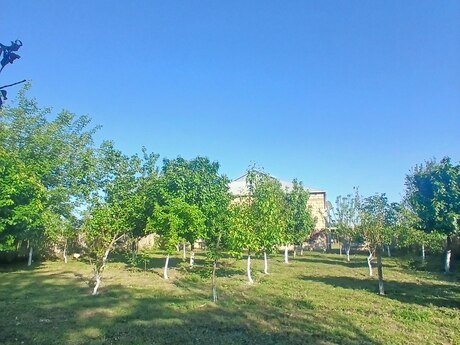 4 otaqlı həyət evi/bağ evi - Mingəçevir - 220 m²