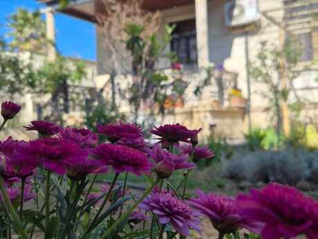 6 otaqlı həyət evi/bağ evi - Şüvəlan q. - 360 m²