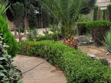 6 otaqlı həyət evi/bağ evi - Şüvəlan q. - 360 m²