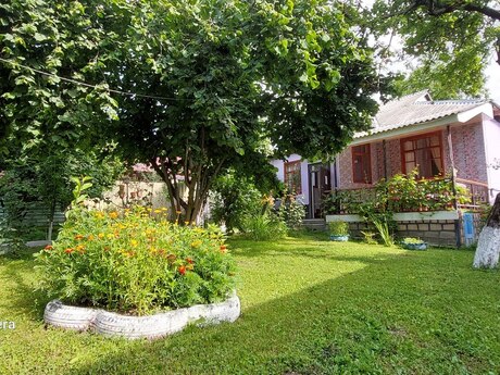 2 otaqlı həyət evi/bağ evi - Qəbələ - 90 m²