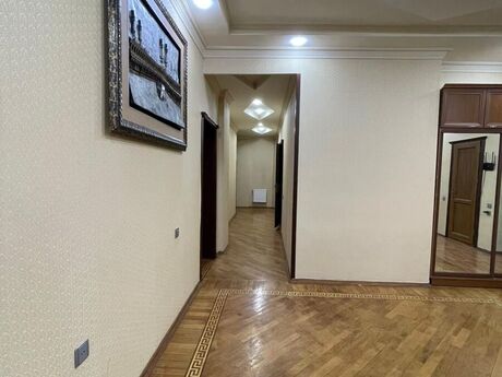 5-комн. офис - м. 28 мая - 250 м²