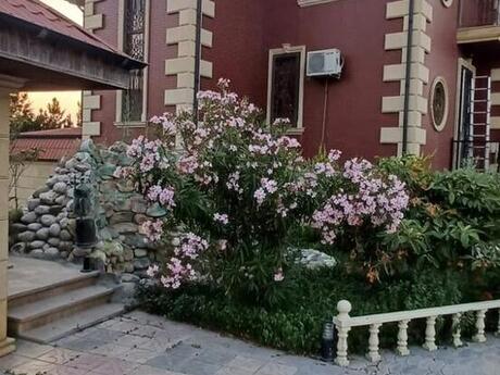 9 otaqlı həyət evi/bağ evi - Bilgəh q. - 360 m²