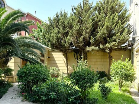 Elan №6112124 - Bakı, Gənclik m., 8 otaqlı, 700 m²