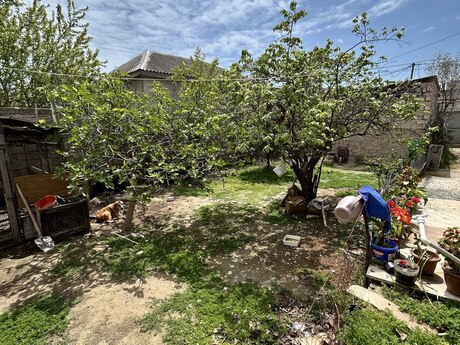 4 otaqlı həyət evi/bağ evi - Binə q. - 120 m²