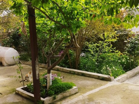 4 otaqlı həyət evi/bağ evi - Zığ q. - 110 m²