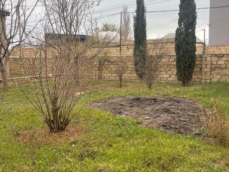4 otaqlı həyət evi/bağ evi - Novxanı q. - 150 m²
