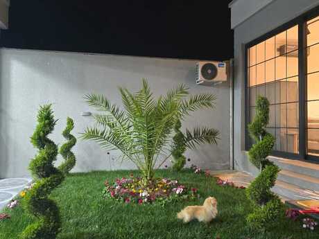 5 otaqlı həyət evi/bağ evi - Novxanı q. - 250 m²