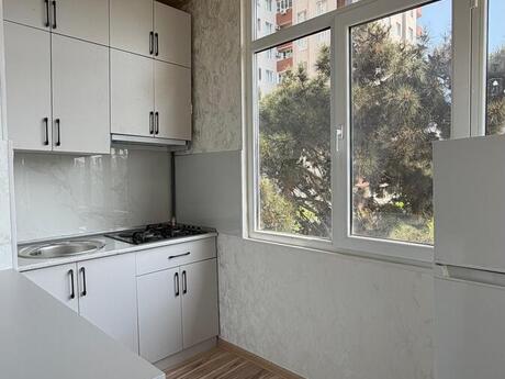1 otaqlı köhnə tikili - Azadlıq Prospekti m. - 40 m²