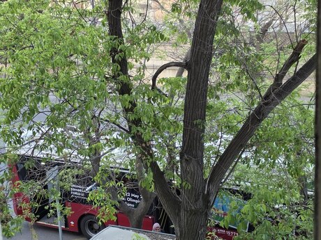 Объявление №6113663 - Баку, пос. Ясамал, 2-комн., 49 м², 3/5 этаж