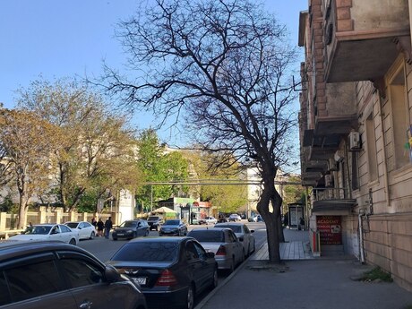 3 otaqlı köhnə tikili - Biləcəri q. - 75 m²