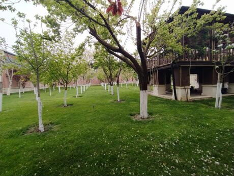 5 otaqlı həyət evi/bağ evi - Abşeron r. - 250 m²
