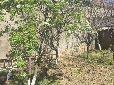 6-room house, 220 m², Sulutəpə: 142 000 ₼ 5