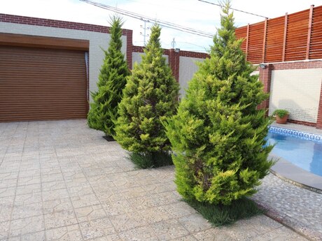 5-комн. дом/дача - пос. Шувеляны - 230 м²