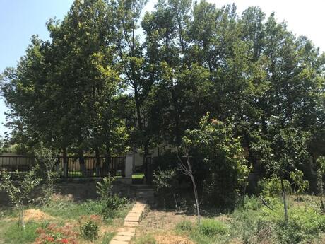 7 otaqlı həyət evi/bağ evi - Bilgəh q. - 500 m²