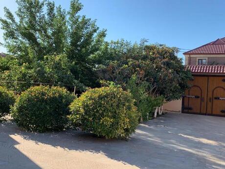 7 otaqlı həyət evi/bağ evi - Novxanı q. - 350 m²