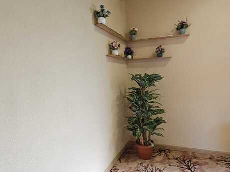 4 otaqlı həyət evi/bağ evi - Pirşağı q. - 110 m²
