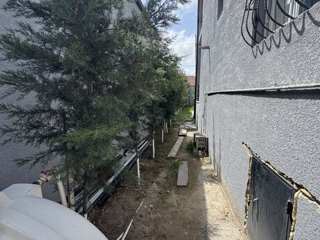 5 otaqlı həyət evi/bağ evi - Buzovna q. - 240 m²