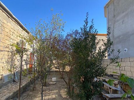 4 otaqlı həyət evi/bağ evi - Sumqayıt - 132 m²