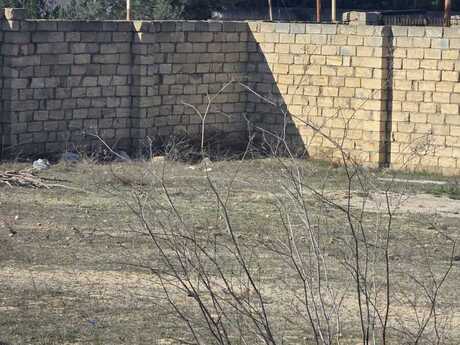 Torpaq - Nardaran q. - 24 sot