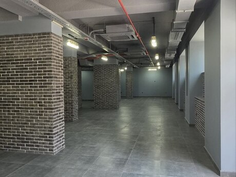 Объявление №6115286 - Баку, м. Низами, 465 м²