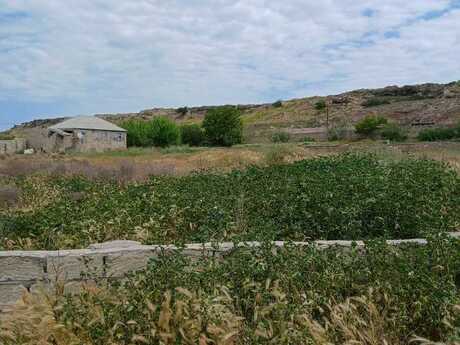 Elan №6115249 - Bakı, Nardaran q., 12 sot
