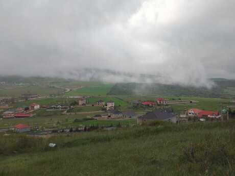 Torpaq - Şamaxı - 24 sot