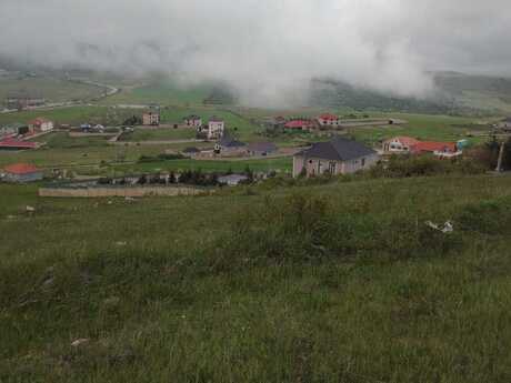 Torpaq - Şamaxı - 24 sot
