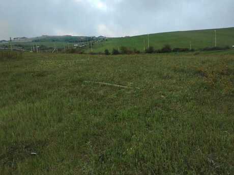 Torpaq - Şamaxı - 24 sot