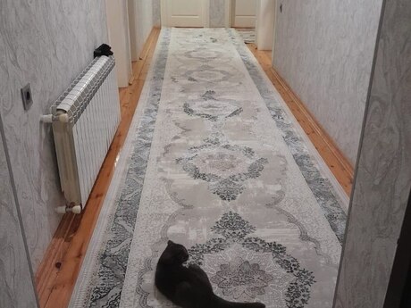 4 otaqlı həyət evi/bağ evi - Buzovna q. - 140 m²