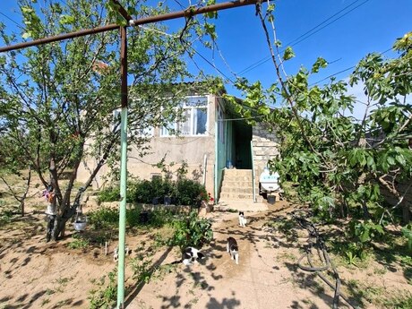 5 otaqlı həyət evi/bağ evi - Bilgəh q. - 110 m²